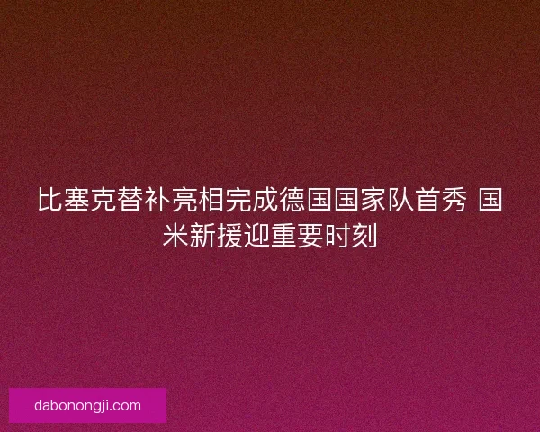 比塞克替补亮相完成德国国家队首秀 国米新援迎重要时刻