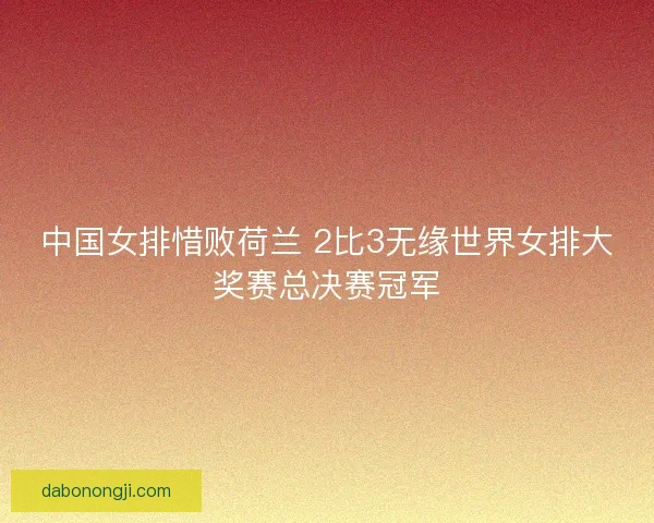 中国女排惜败荷兰 2比3无缘世界女排大奖赛总决赛冠军
