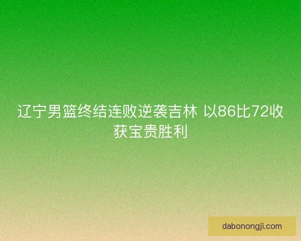 辽宁男篮终结连败逆袭吉林 以86比72收获宝贵胜利